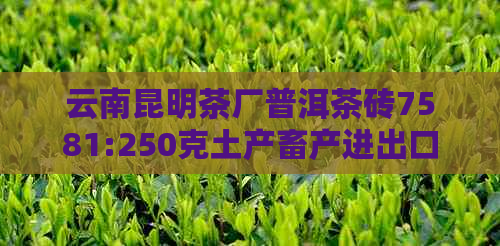 云南昆明茶厂普洱茶砖7581:250克土产畜产进出口价格