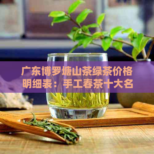 广东博罗塘山茶绿茶价格明细表：手工春茶十大名茶特产茶叶批发