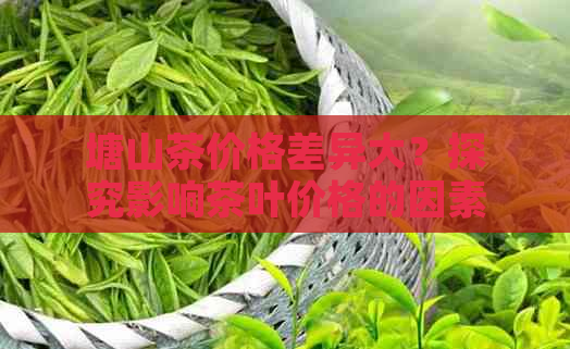 塘山茶价格差异大？探究影响茶叶价格的因素和购买建议