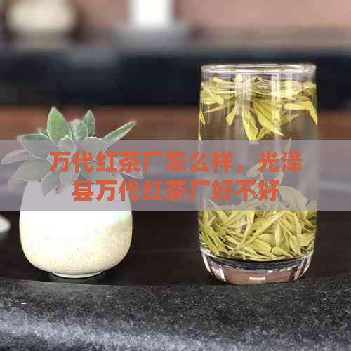 万代红茶厂怎么样，光泽县万代红茶厂好不好