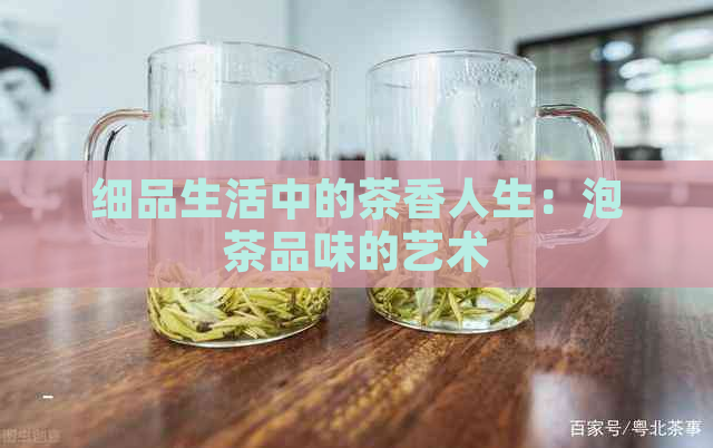 细品生活中的茶香人生：泡茶品味的艺术