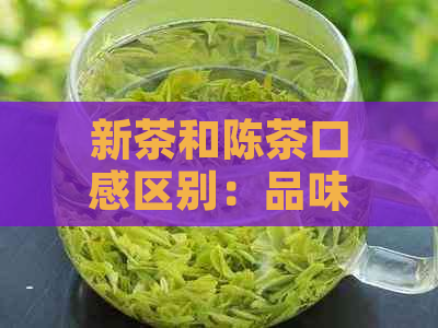 新茶和陈茶口感区别：品味之间的差异与判断