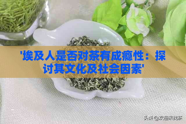 '埃及人是否对茶有成瘾性：探讨其文化及社会因素'