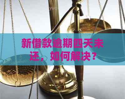 新借款逾期四天未还，如何解决？