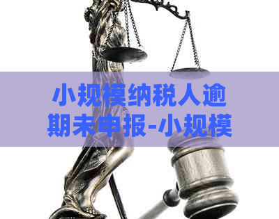 小规模纳税人逾期未申报-小规模纳税人逾期未申报怎么处理