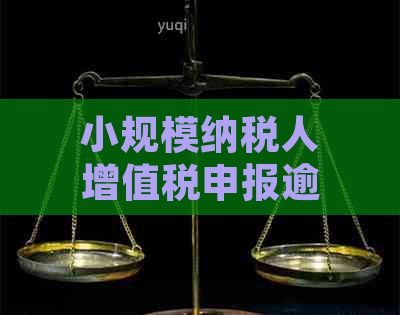 小规模纳税人增值税申报逾期问题解决策略：如何妥善处理？