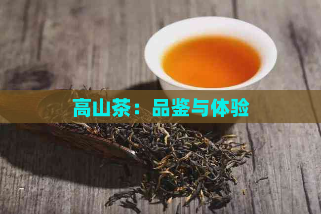 高山茶：品鉴与体验