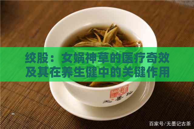 绞股：女娲神草的医疗奇效及其在养生健中的关键作用