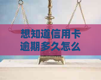 想知道信用卡逾期多久怎么查，请问如何查询信用卡逾期记录以及具体时间？