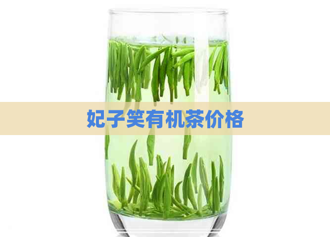 妃子笑有机茶价格