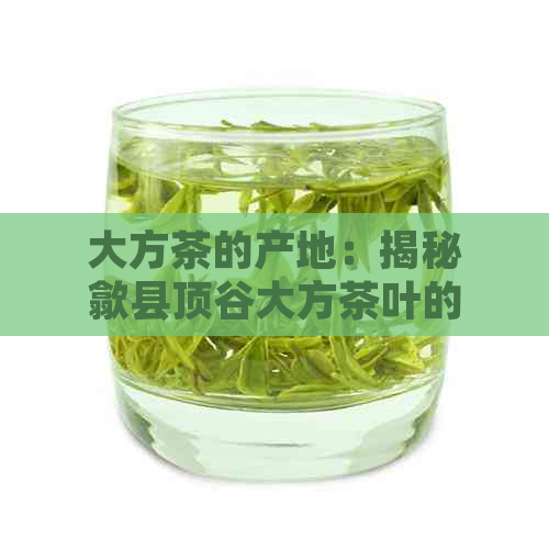 大方茶的产地：揭秘歙县顶谷大方茶叶的独特魅力，你真的喝过吗？