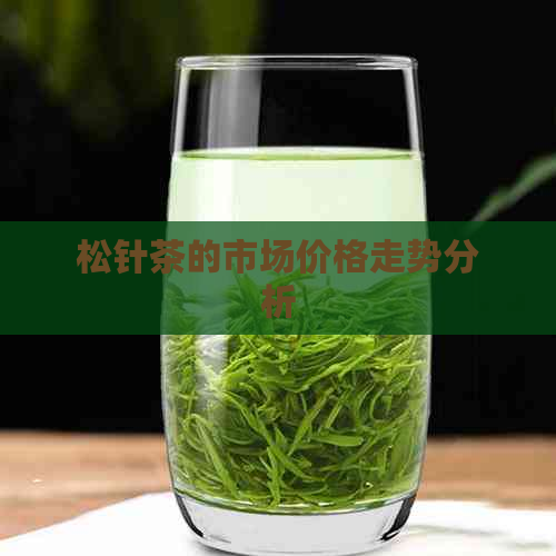 松针茶的市场价格走势分析