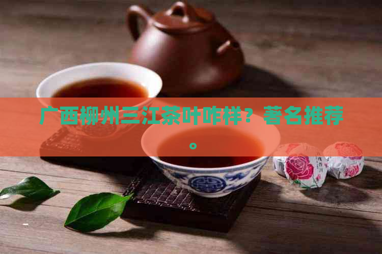 广西柳州三江茶叶咋样？著名推荐。