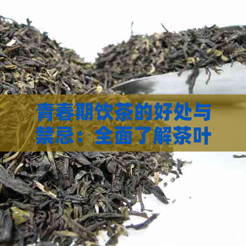 青春期饮茶的好处与禁忌：全面了解茶叶对青少年的影响和适宜的种类