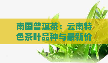 南国普洱茶：云南特色茶叶品种与最新价格表解析