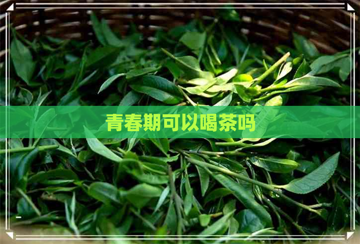 青春期可以喝茶吗