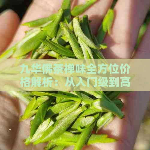 九华佛茶禅味全方位价格解析：从入门级到高端品质一应俱全