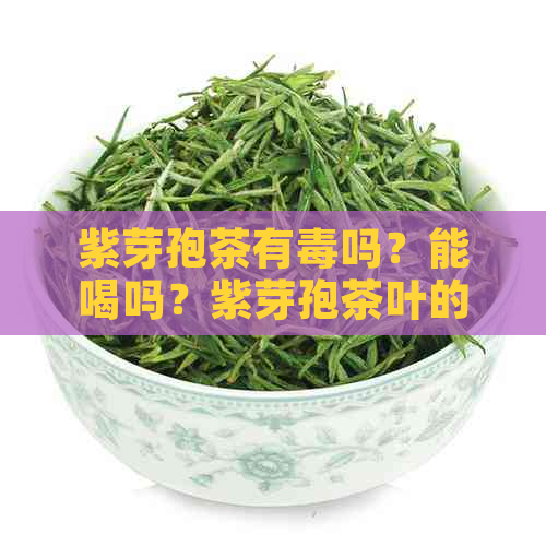 紫芽孢茶有吗？能喝吗？紫芽孢茶叶的性与功效，以及它属于什么茶。