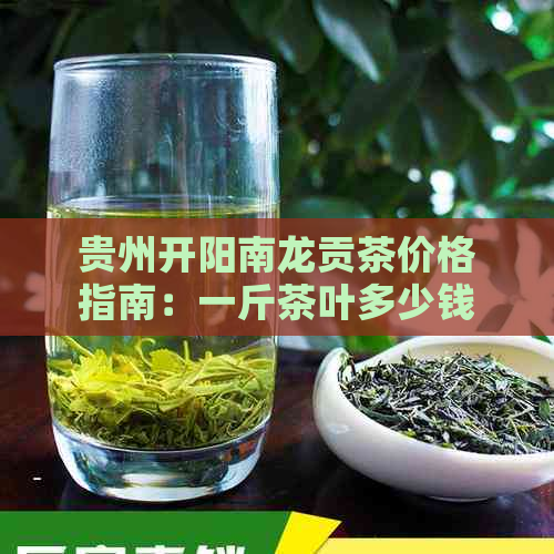 贵州开阳南龙贡茶价格指南：一斤茶叶多少钱？口感如何？购买渠道？