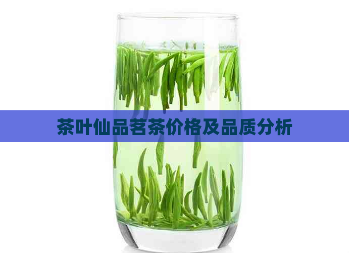 茶叶仙品茗茶价格及品质分析