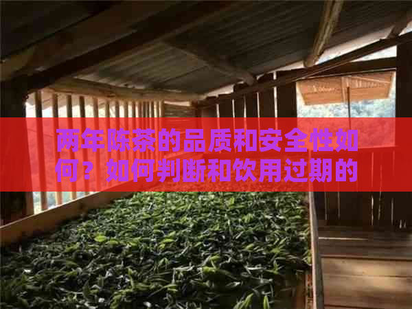 两年陈茶的品质和安全性如何？如何判断和饮用过期的陈茶？