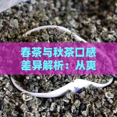 春茶与秋茶口感差异解析：从爽到醇厚，一文详解两大节茶叶的品味奥秘