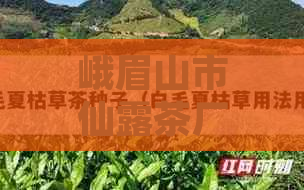 峨眉山市仙露茶厂产品价格表及详细介绍