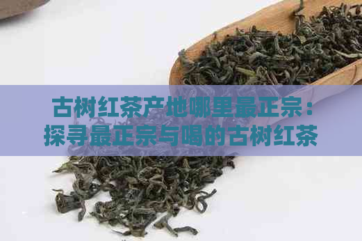 古树红茶产地哪里最正宗：探寻最正宗与喝的古树红茶源自何处