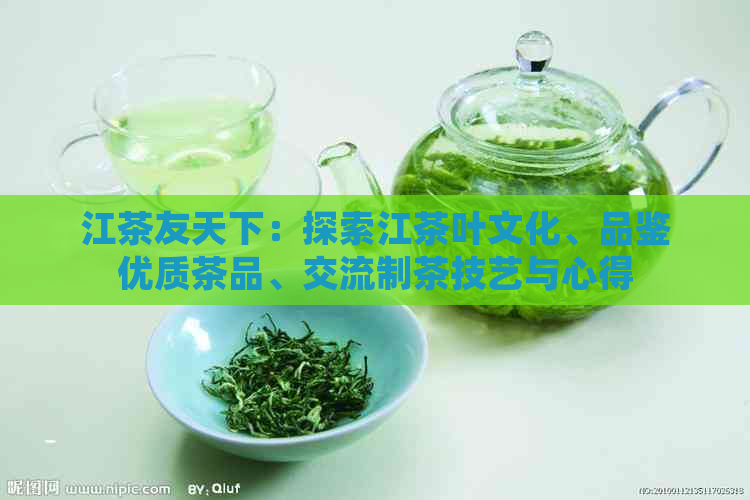 江茶友天下：探索江茶叶文化、品鉴优质茶品、交流制茶技艺与心得