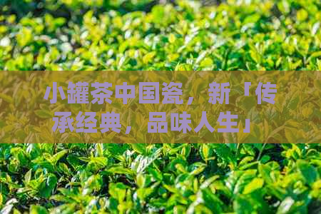 小罐茶中国瓷，新「传承经典，品味人生」 