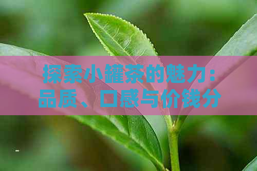 探索小罐茶的魅力：品质、口感与价钱分析