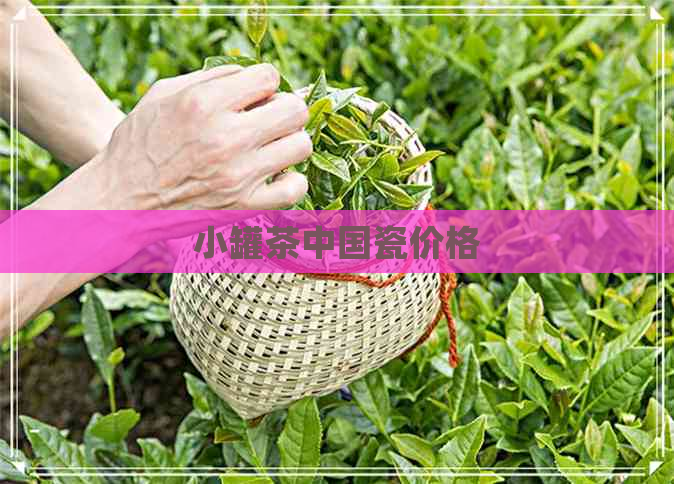 小罐茶中国瓷价格