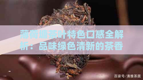 薄荷塘茶叶特色口感全解析：品味绿色清新的茶香世界