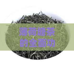 薄荷塘茶的全面功效与作用：解渴、提神、降压、减肥等多方面益处解析