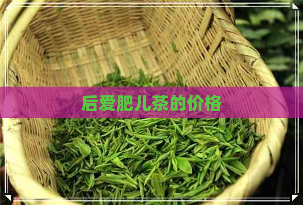 后爱肥儿茶的价格