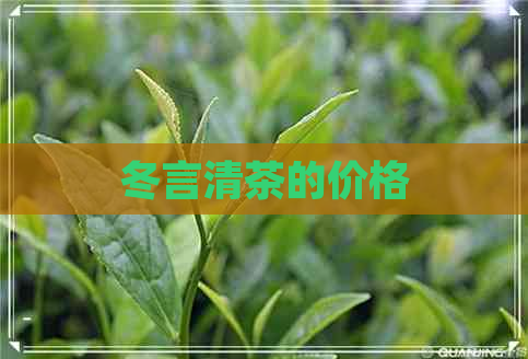 冬言清茶的价格