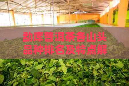 勐库普洱茶各山头品种排名及特点解析，助您选购优质普洱茶