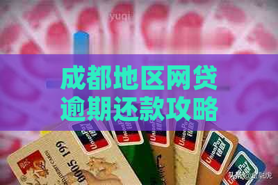 成都地区网贷逾期还款攻略：成功还清5万借款的实用技巧