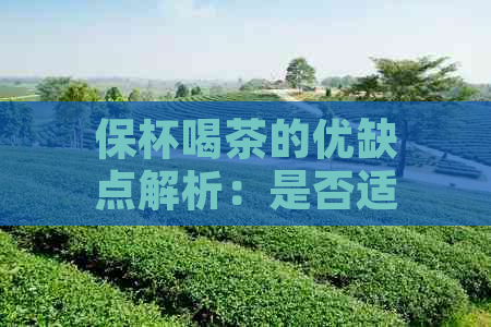 保杯喝茶的优缺点解析：是否适合每个人？如何正确选择和使用保杯？