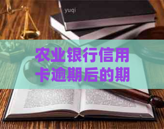 农业银行信用卡逾期后的期还款解决办法