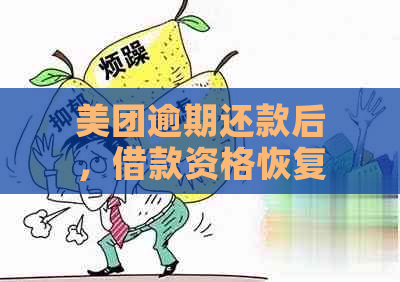 美团逾期还款后，借款资格恢复时间以及再次借款的相关政策