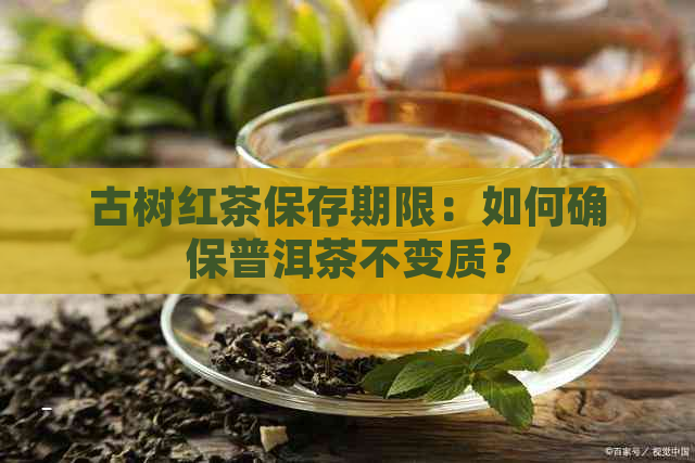 古树红茶保存期限：如何确保普洱茶不变质？