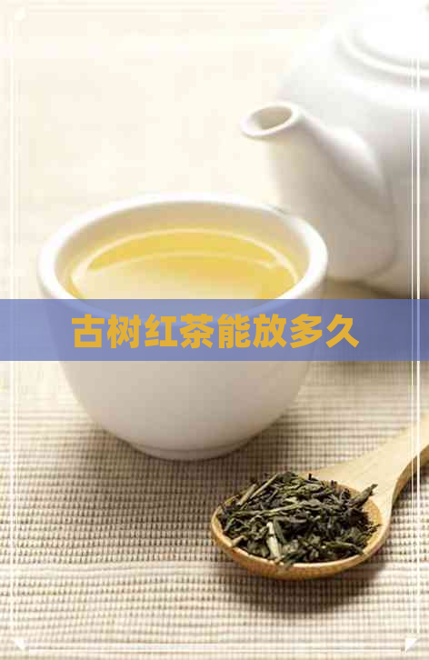 古树红茶能放多久