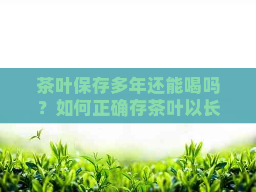 茶叶保存多年还能喝吗？如何正确存茶叶以长保质期？