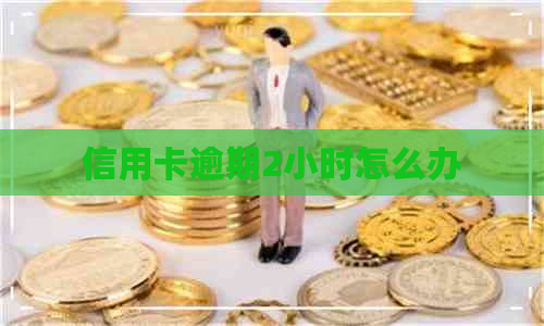 信用卡逾期2小时怎么办