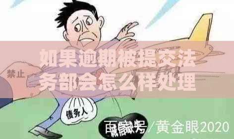 如果逾期被提交法务部会怎么样处理？