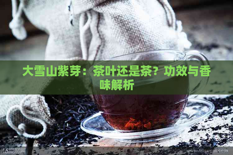 大雪山紫芽：茶叶还是茶？功效与香味解析