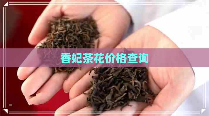 香妃茶花价格查询