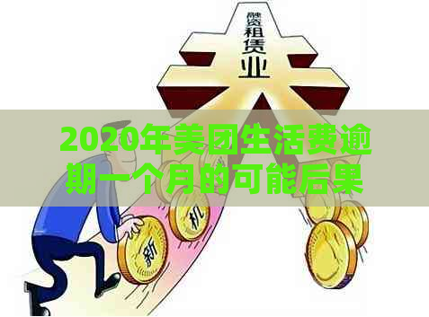 2020年美团生活费逾期一个月的可能后果与解决方法分析