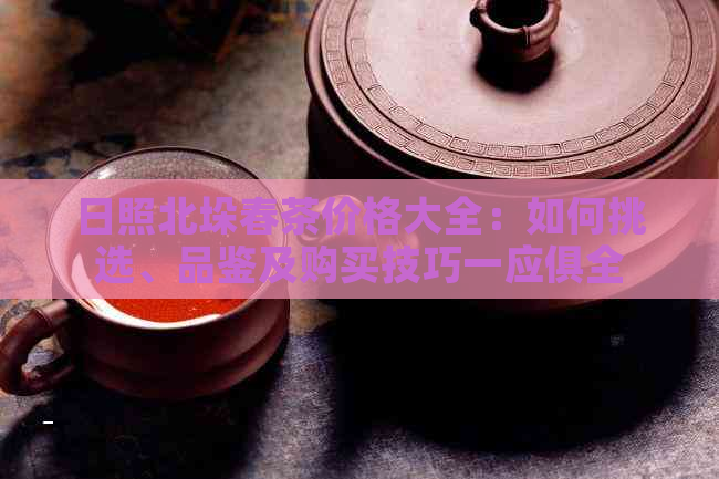 日照北垛春茶价格大全：如何挑选、品鉴及购买技巧一应俱全